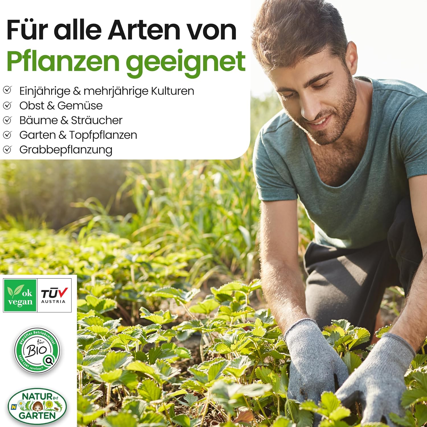 Retentis - bio-zertifiziertes Hydrogel aus Holz