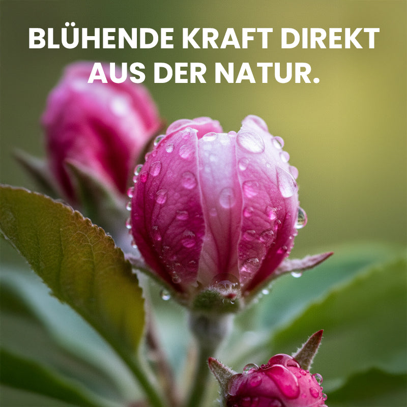 BIOCANNA Bio Flores – Organischer Blütendünger für Erde