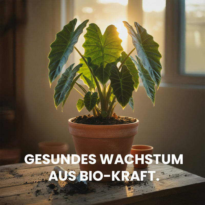 BIOCANNA Bio RHIZOTONIC – Organischer Wurzelstimulator für kräftige Pflanzen