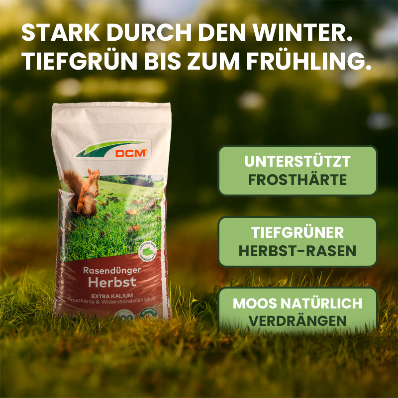 Herbstdünger tiefgrüner Herbstrasen