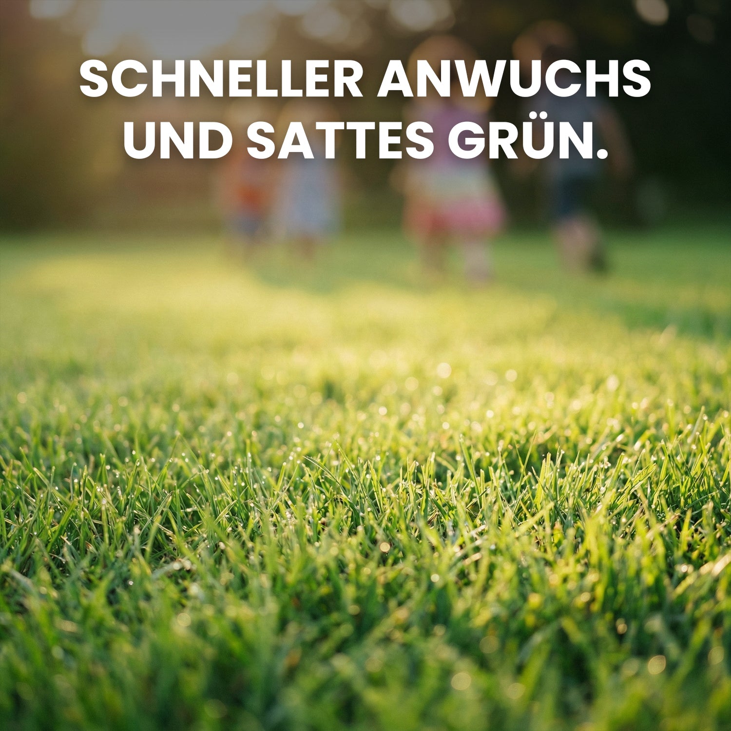 Das "Rasen-Retter" Bundle - GRATIS Versand