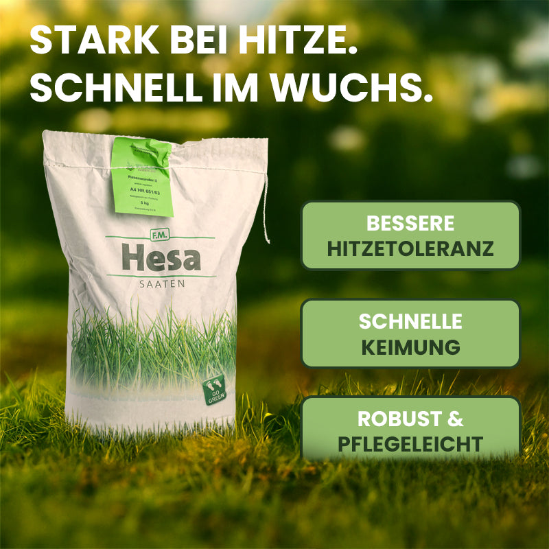 Rasensamen "Rasenwunder"