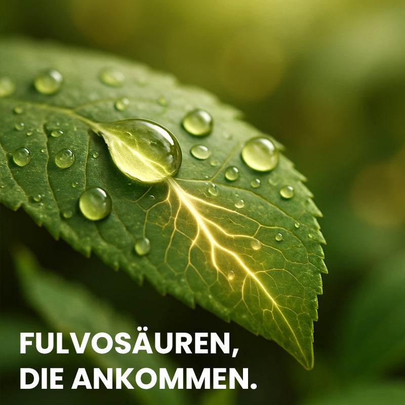 Fulvagra optimiert Nährstoffaufnahme