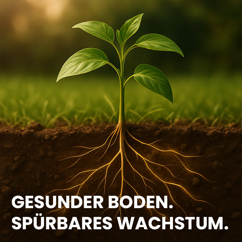 LiquidHumus gesunder Boden