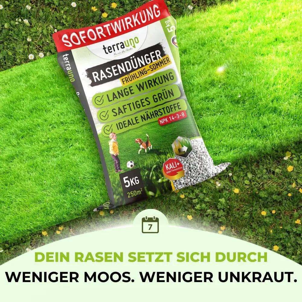 Ein Beutel TerraUno Rasendünger - Sparabo ruht auf grünem Gras. Die Verpackung verweist auf sofortige und lang anhaltende Wirkung, sattes Grün, ideale Nährstoffe, weniger Moos, weniger Unkraut und einen kräftigeren Rasen für eine effektive Rasenpflege.