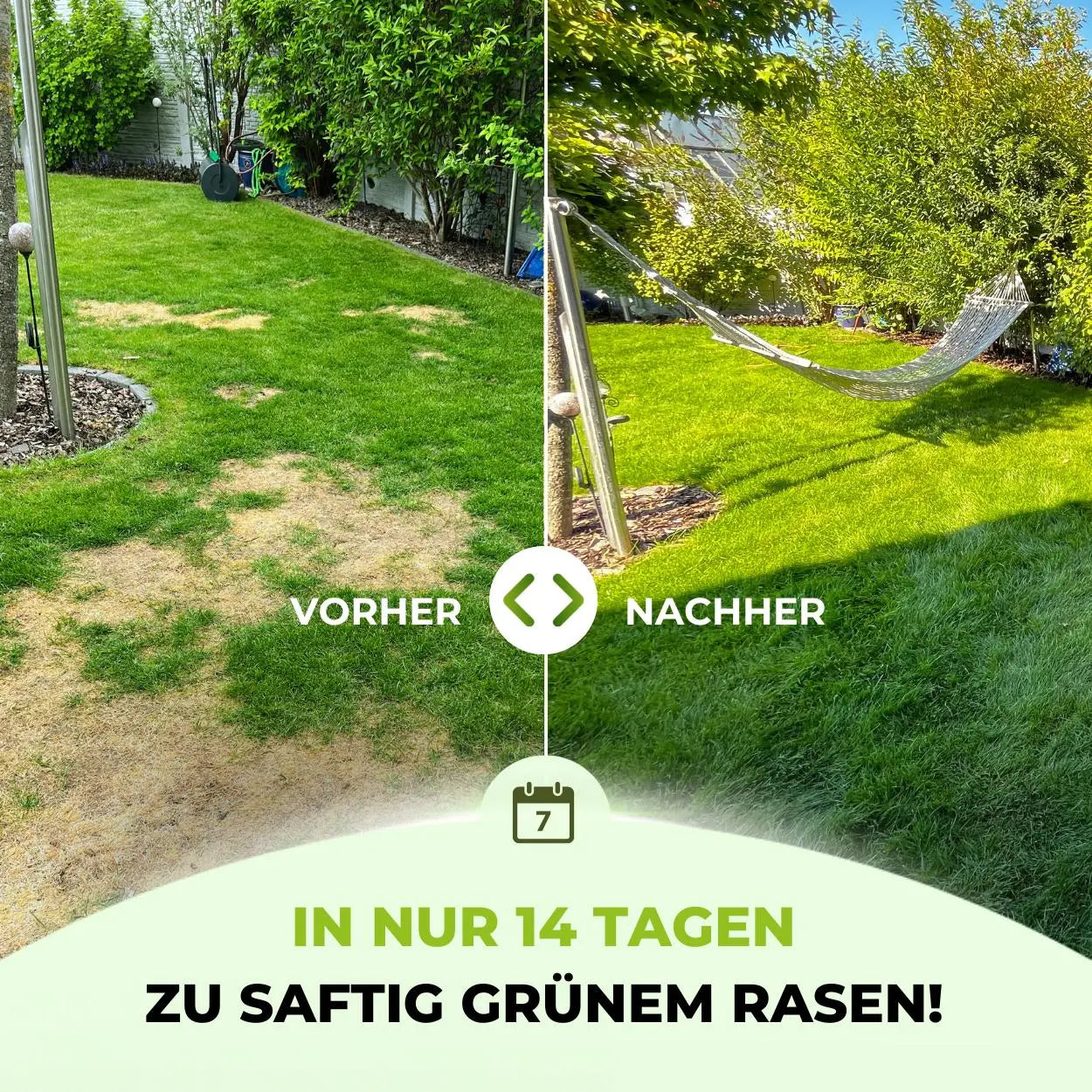 Ein geteiltes Bild zeigt eine Rasenfläche vorher links mit trockenem, lückenhaftem Gras und nachher rechts mit saftig grünem Gras und einer Hängematte. Deutscher Text: Mit dem TerraUno Rasendünger - Sparabo wird Ihr Rasen in nur 14 Tagen saftig grün.