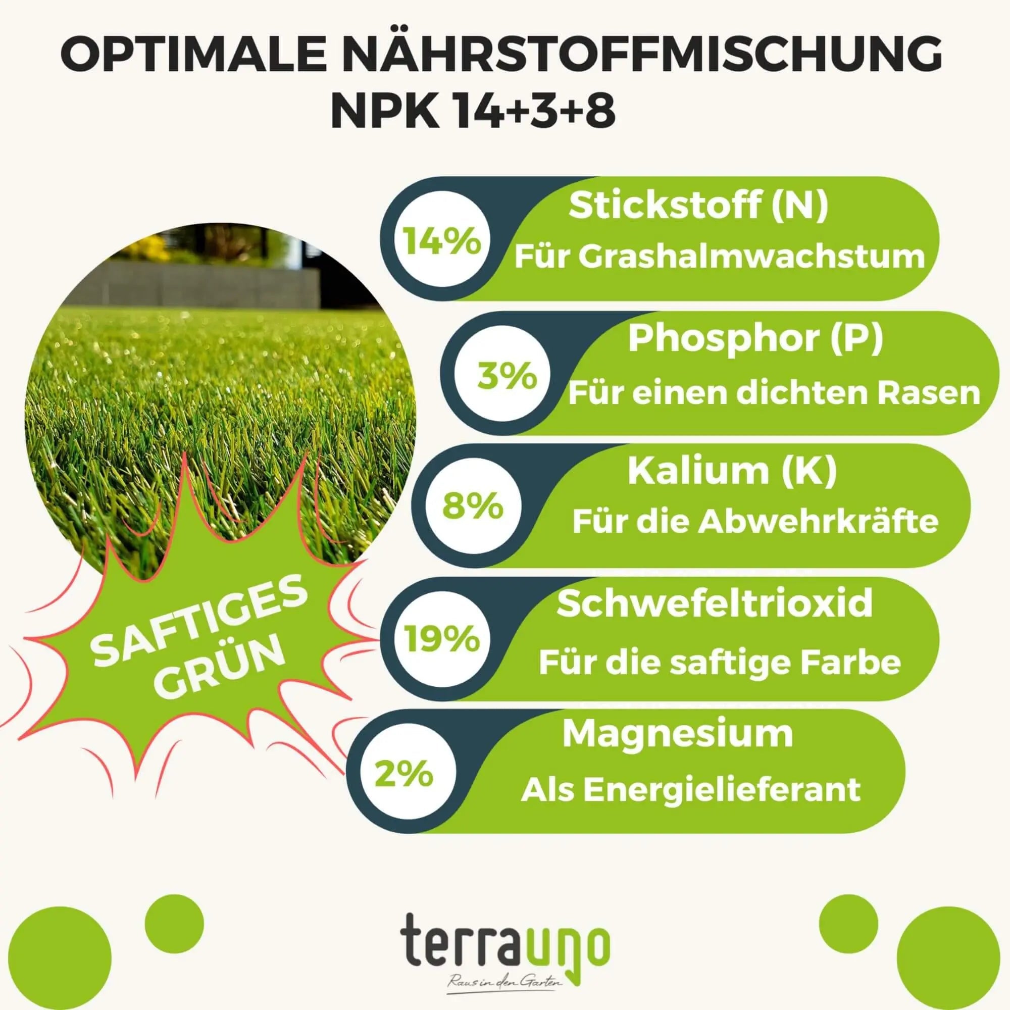 Infografik von TerraUno Rasendünger - Sparabo: NPK 14+3+8 14 Stickstoff, 3 Phosphor, 8 Kalium, dazu Schwefeltrioxid und Magnesium - der Schlüssel für Rasenpflege, satte Farbe und gesunden Rasen.