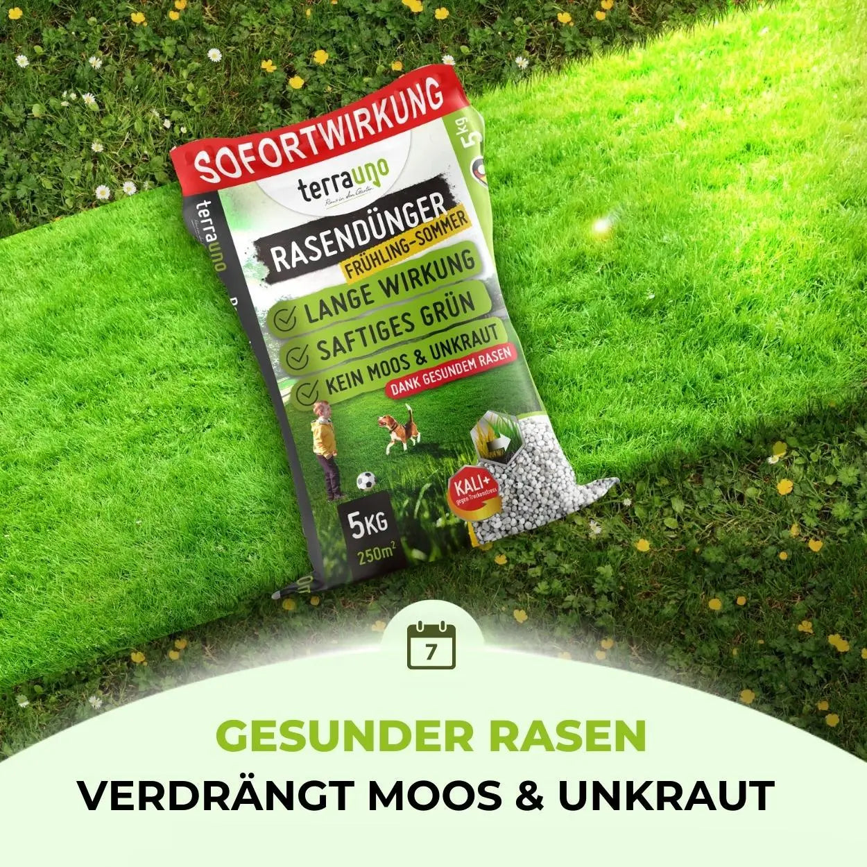 Ein Beutel TerraUno Rasendünger - Sparabo ruht auf grünem Gras. Die deutsche Verpackung wirbt für Sofortwirkung, lang anhaltende Wirkung, sattes Grün, kein Moos oder Unkraut - perfekt für effektive Rasenpflege. Text unten: Gesunder Rasen verdrängt Moos Unkraut.