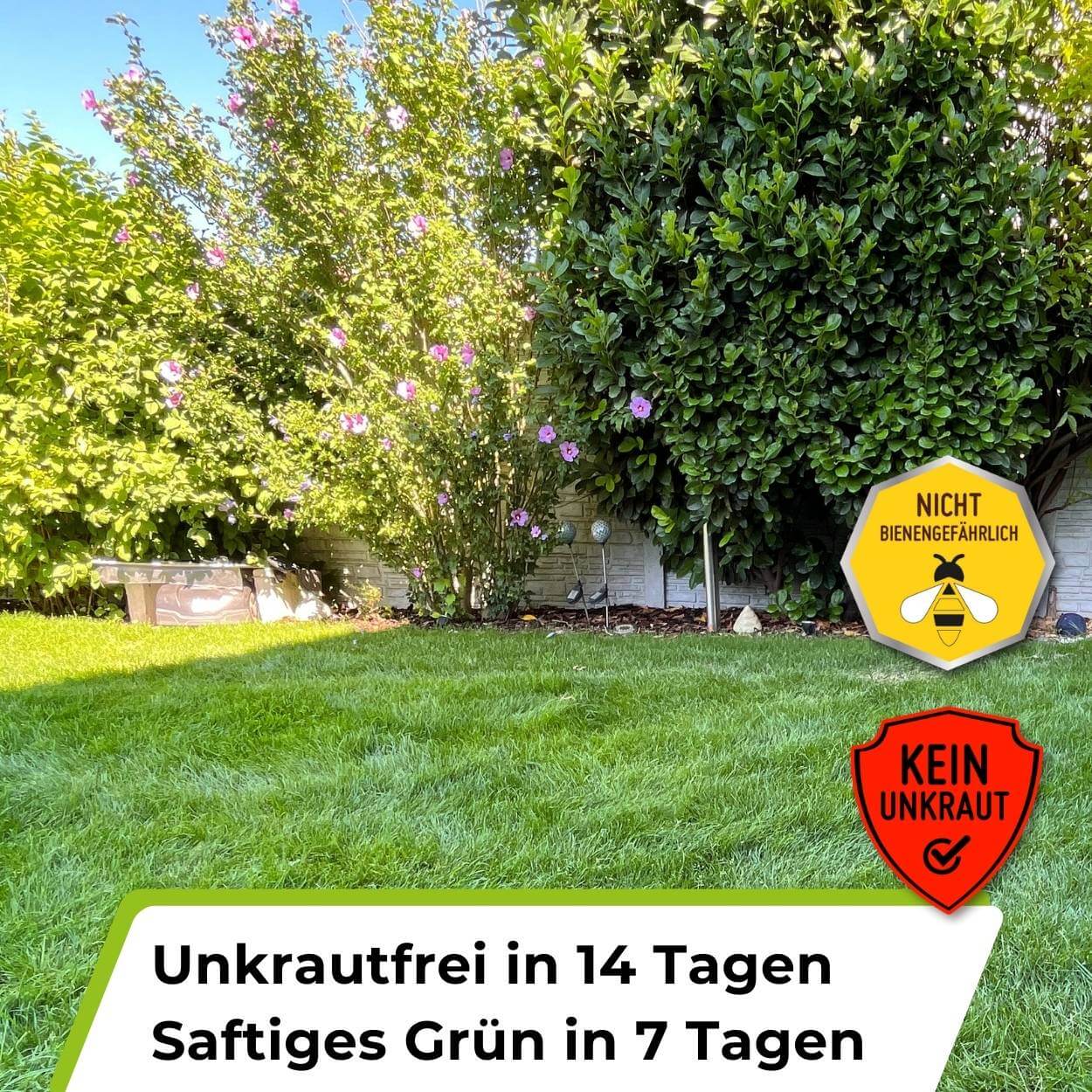 Rasendünger mit Unkrautvernichter TerraUno