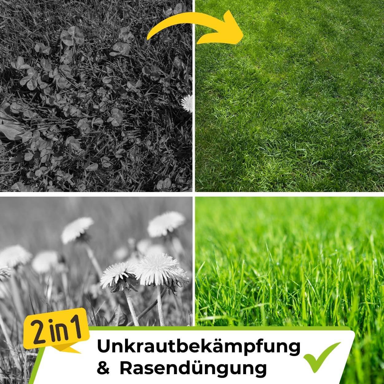 Rasendünger mit Unkrautvernichter TerraUno