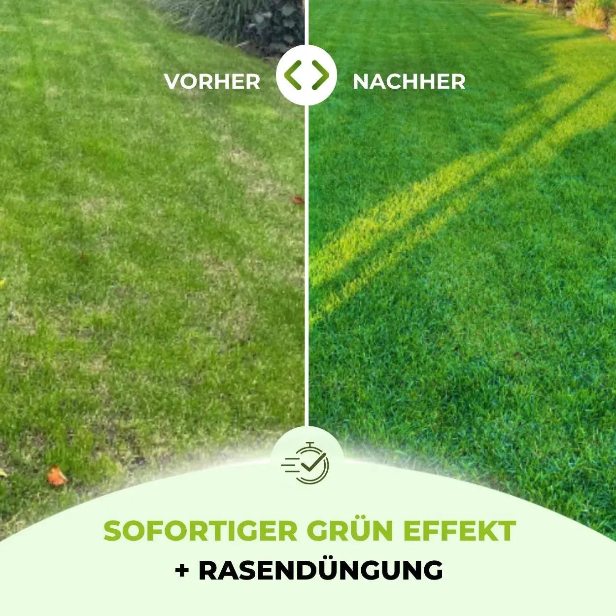 Speed Rasendünger N21 TerraUno