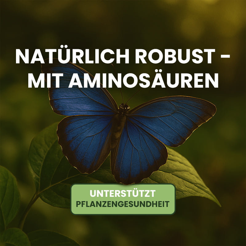 AminoPower unterstützt Pflanzengesundheit