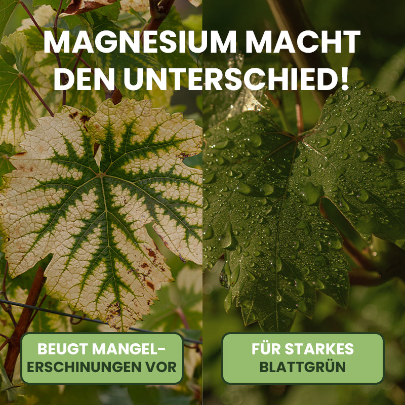 Rasenkalk mit Magnesium