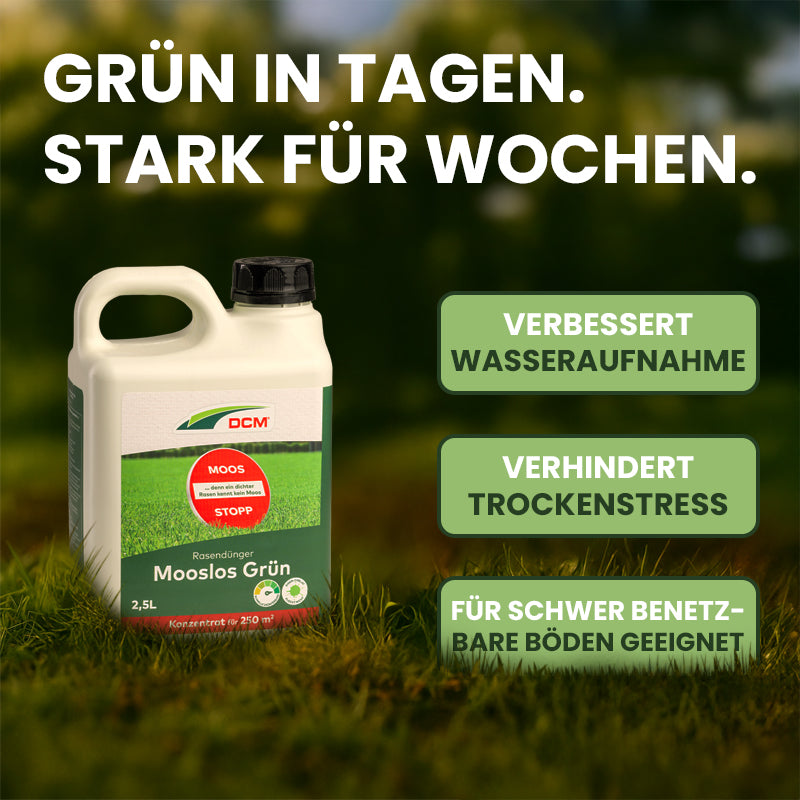 Eisensulfat stoppt Moosentwicklung