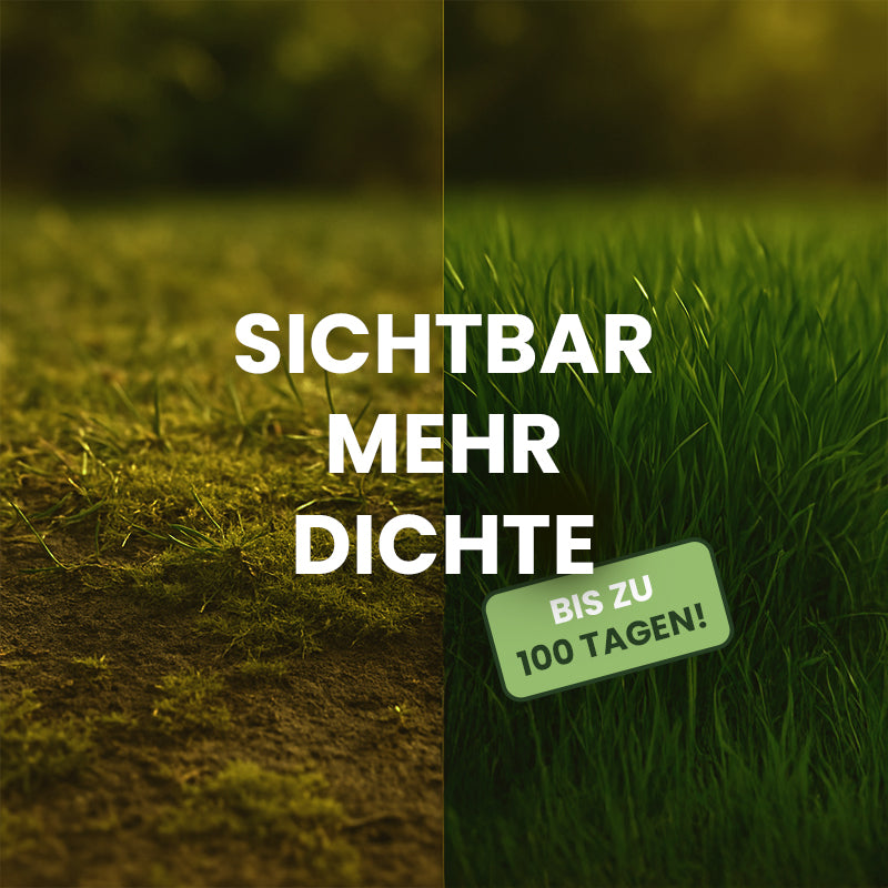 Sichtbar mehr Dichte bis zu 100 Tage lang