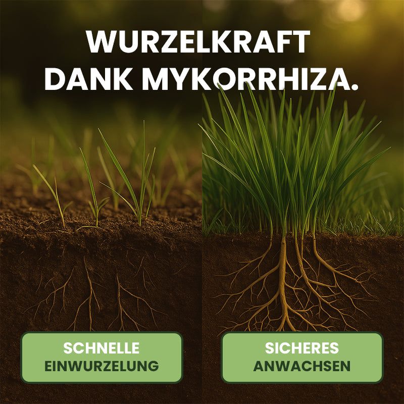 Dünger mit Mykorrhiza Pilzen