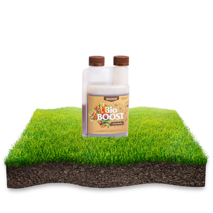BIOCANNA Bio BOOST – Organischer Blüten- & Ertragsstimulator