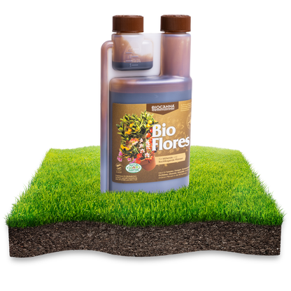 BIOCANNA Bio Flores – Organischer Blütendünger für Erde
