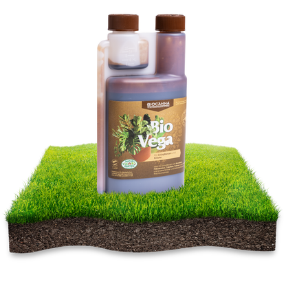 BIOCANNA Bio Vega NPK 3-1-5 – Organischer Flüssigdünger für Grünpflanzen & Kräuter