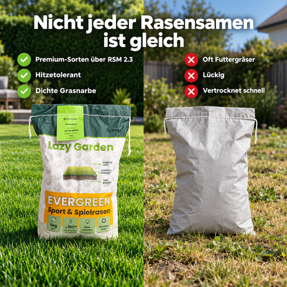 Evergreen Rasensamen – Trockenresistent