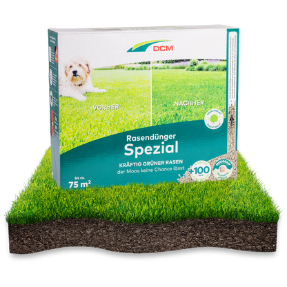 3kg Karton Rasendünger Spezial mit viel Stickstoff