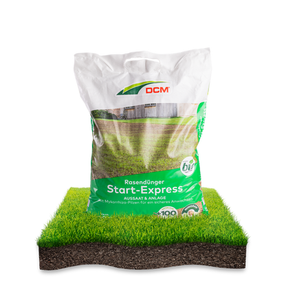 Start Express mit Mykorrhiza Pilze für schnellere Keimung