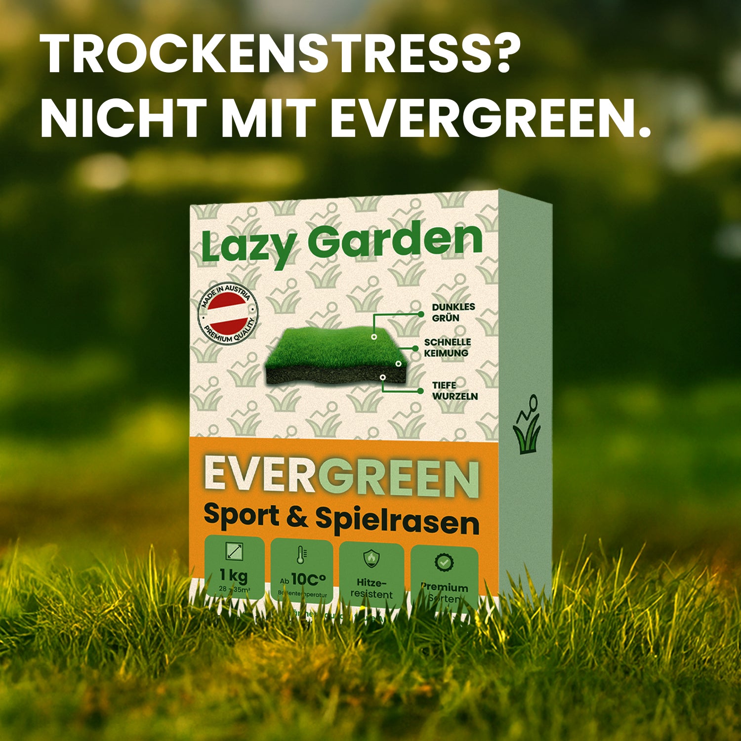 Evergreen Premium Rasensamen – hitzeresistent