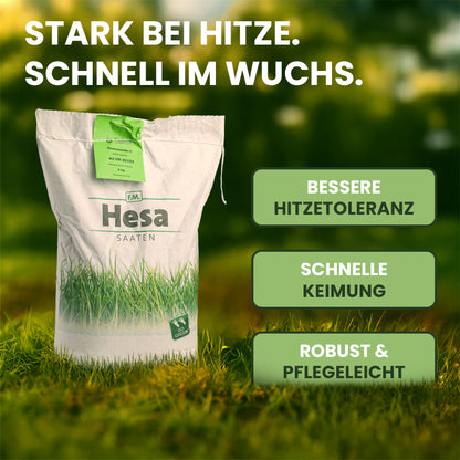 Rasensamen "Rasenwunder"