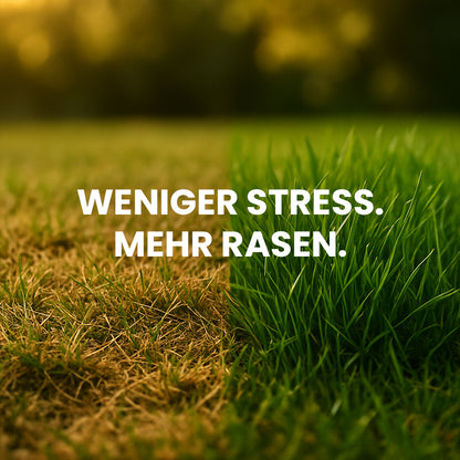 Rasensamen "Rasenwunder"
