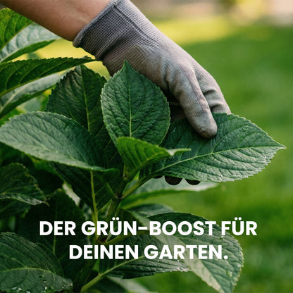 HuminTech HuminIron Flüssig – Saftiges Grün