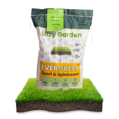 Premium Rasensamen "Evergreen"