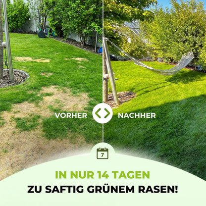 Ein geteiltes Bild zeigt eine Rasenfläche vorher links mit trockenem, lückenhaftem Gras und nachher rechts mit saftig grünem Gras und einer Hängematte. Deutscher Text: Mit dem TerraUno Rasendünger - Sparabo wird Ihr Rasen in nur 14 Tagen saftig grün.