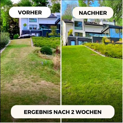 Geteiltes Bild: Die linke Seite zeigt ein Haus mit einem fleckigen Rasen mit der Aufschrift "Vorher", die rechte Seite zeigt üppiges Gras mit der Aufschrift "Nachher". Text: Ergebnis nach 2 Wochen - dank TerraUno Rasendünger - Sparabo und regelmäßiger Rasenpflege.