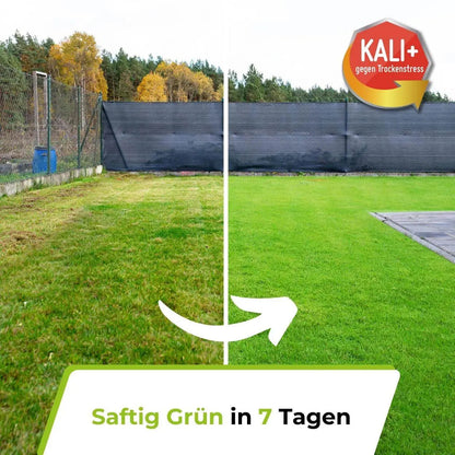 Ein geteiltes Bild zeigt einen Rasen vor und nach der Anwendung von TerraUno Rasendünger - Sparabo: links fleckig und gelb, rechts saftig grün. Der Text lautet Saftig Grün in 7 Tagen, mit einem KALI+ gegen Trockenstress Abzeichen-perfekt im Sparabo.