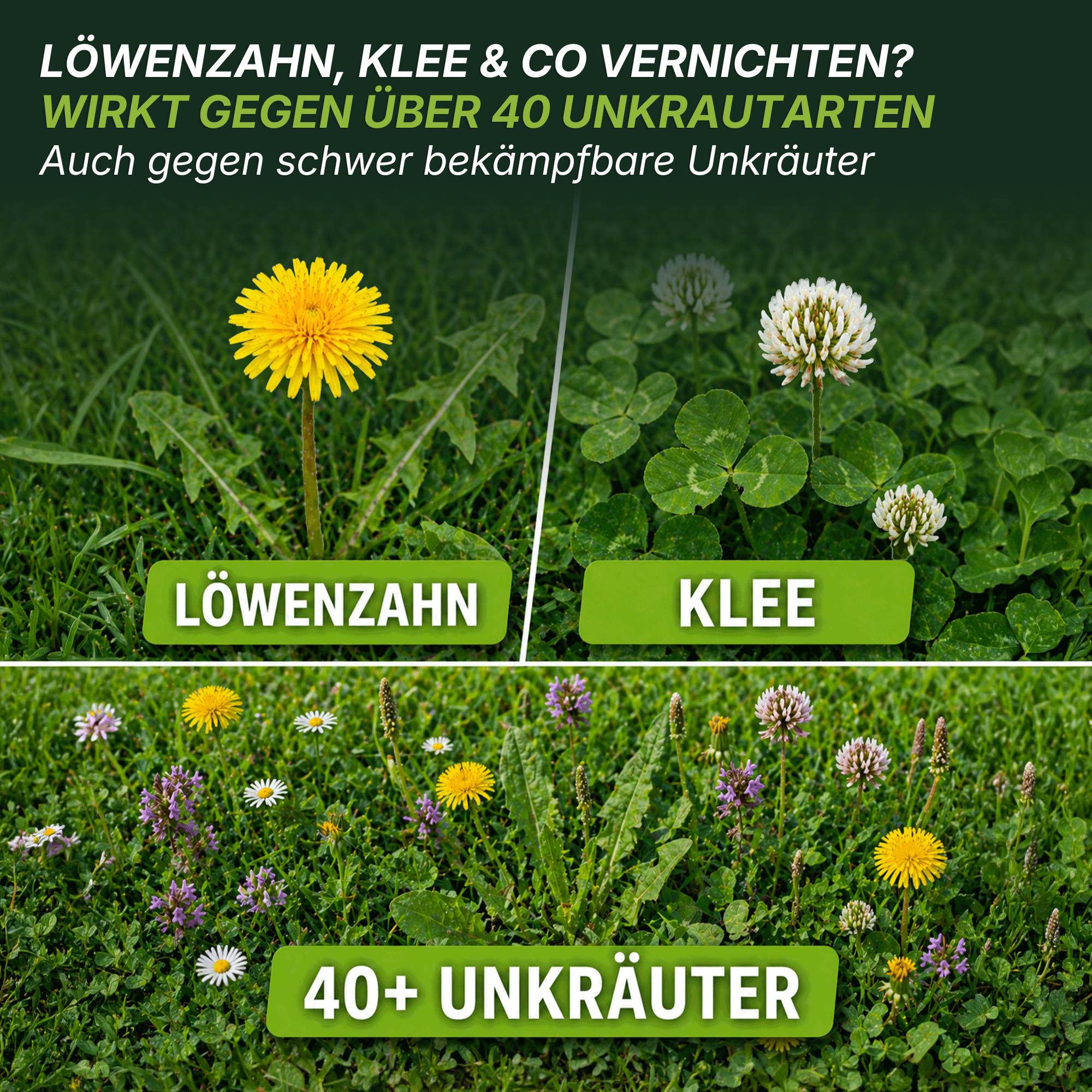 Ein Rasen mit Nahaufnahmen von Löwenzahn, Klee und über 40 Unkrautarten. Der deutsche Text bewirbt TerraUno Flüssiger Unkrautvernichter zur effektiven Bekämpfung von Löwenzahn, Klee und anderen hartnäckigen Unkräutern.