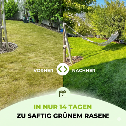 Rasen im Vergleich: links trocken/gelb Vorher, rechts saftig/grün Nachher - dank TerraUno Rasendünger Sommer und Frühling. In nur 14 Tagen zu kräftig grünem Rasen - moos- und unkrautfrei.