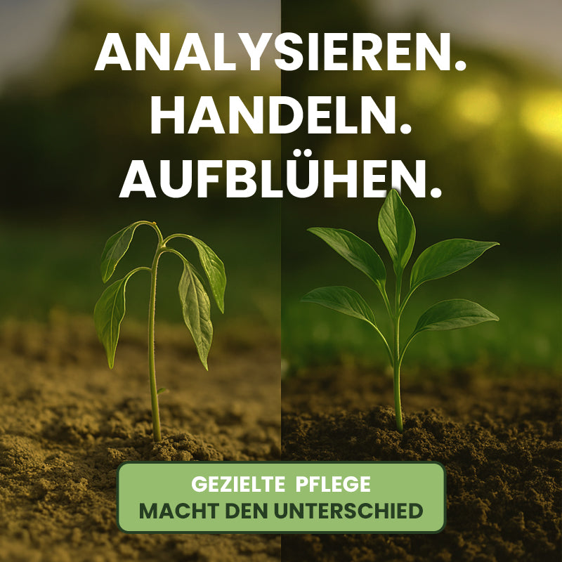 AGES Bodenprobe gezielte Pflege