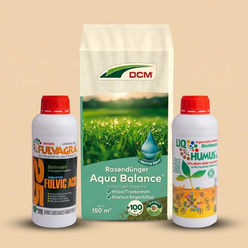Klima-Fit Sommer Bundle